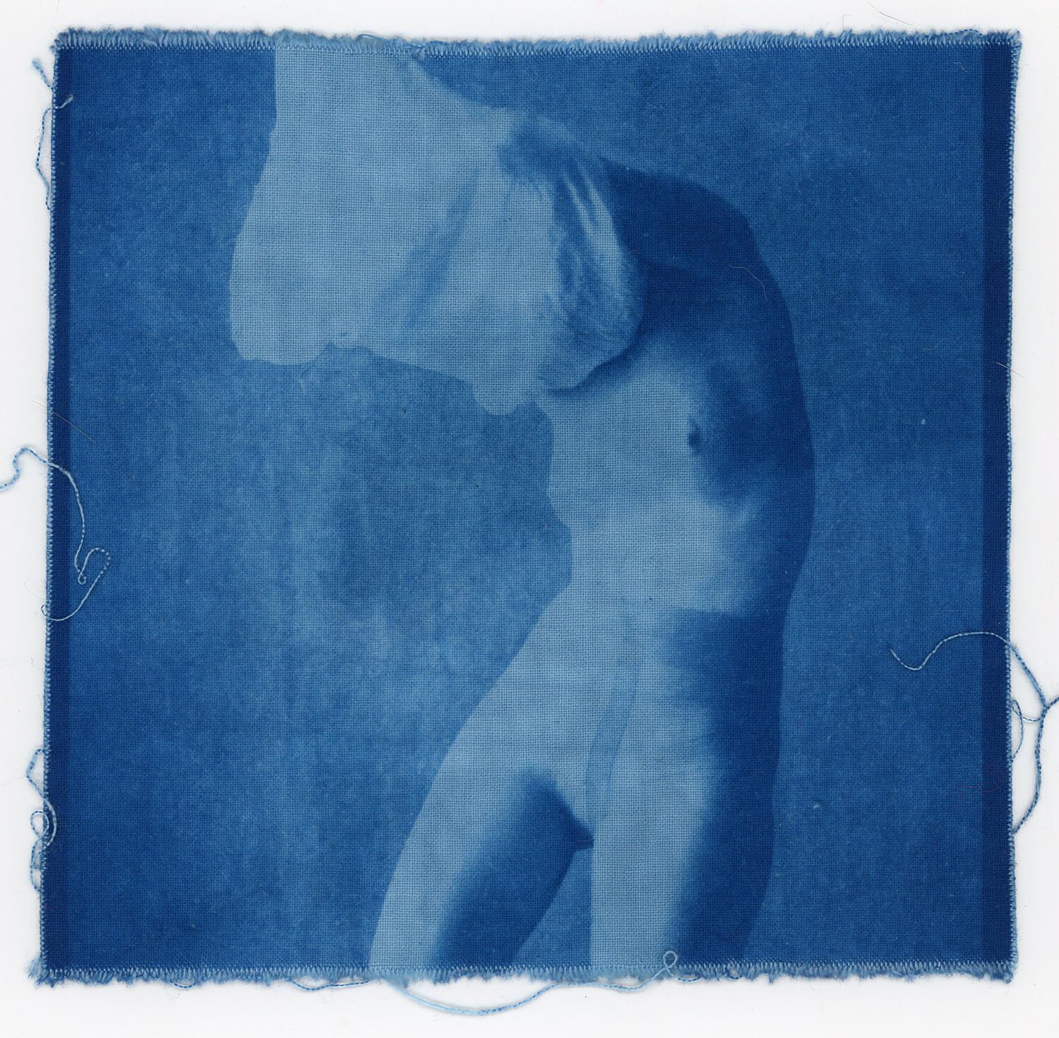 Fight. 2021, Cyanotype on Cotton,  15x15cm.  $150