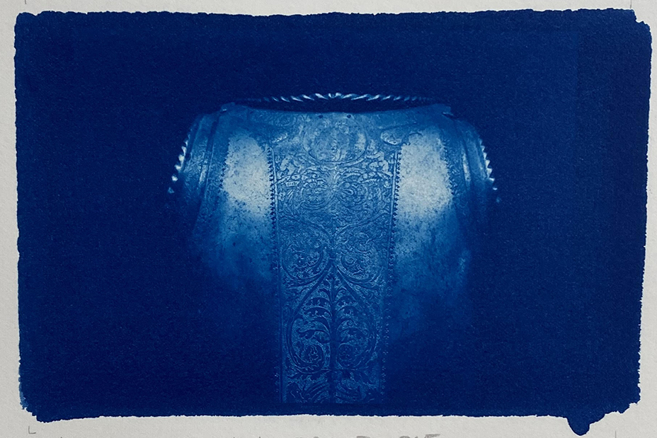 Senza Protezione, 2021 .  Unique Cyanotype, matted 25x20cm, $625, framed