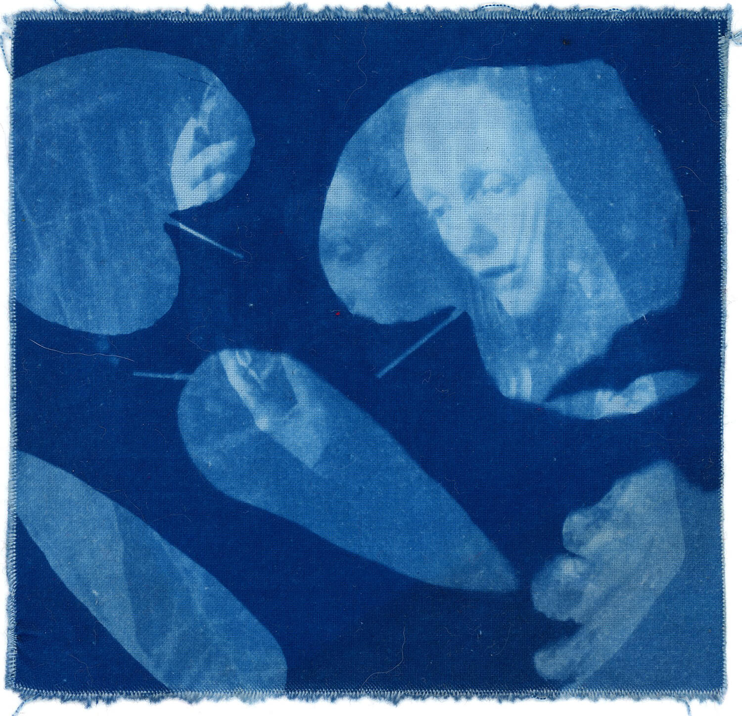 Reflections, 2021, Cyanotype on Cotton,  15x15cm.  $150