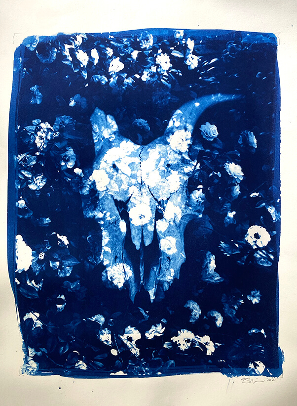 Skull&Blooms_Comp©KimSinclair Skull & Blooms, 2021 Unique State Cyanotype, 29x42cm, $300 unframed