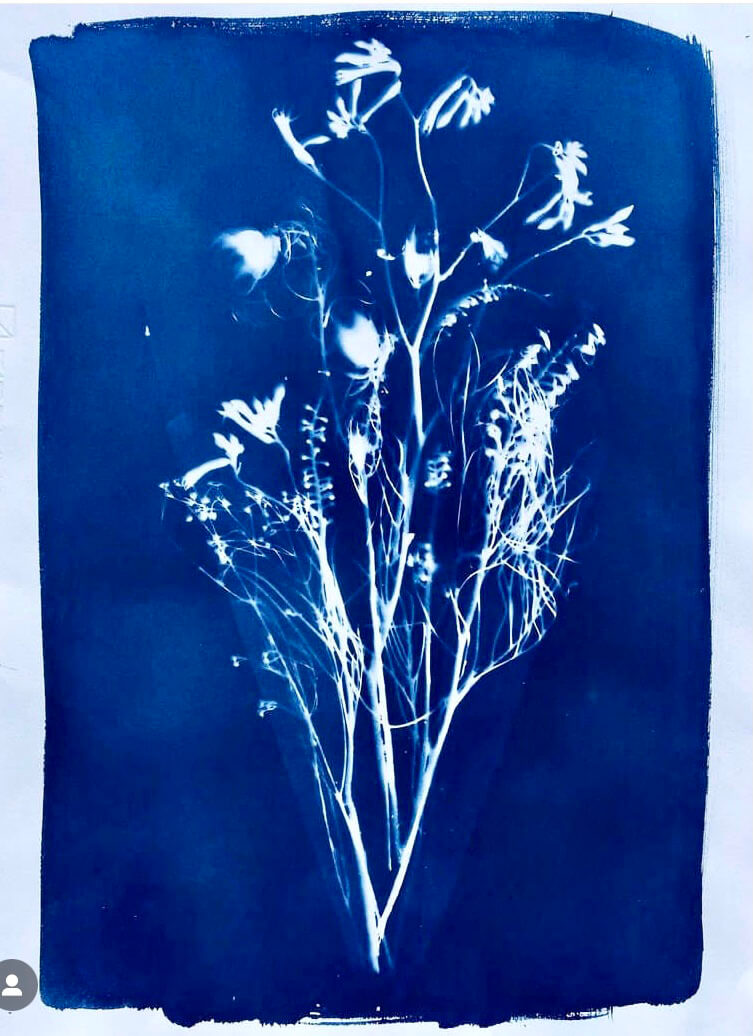 nativebouquet nativebouquet